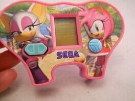 Amy & Rouge Volleyball