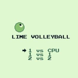 Lime Volleyball