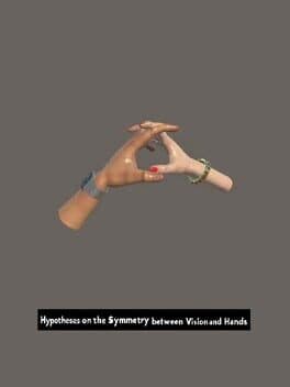 Hypotheses on the Symmetry between Vision and Hands