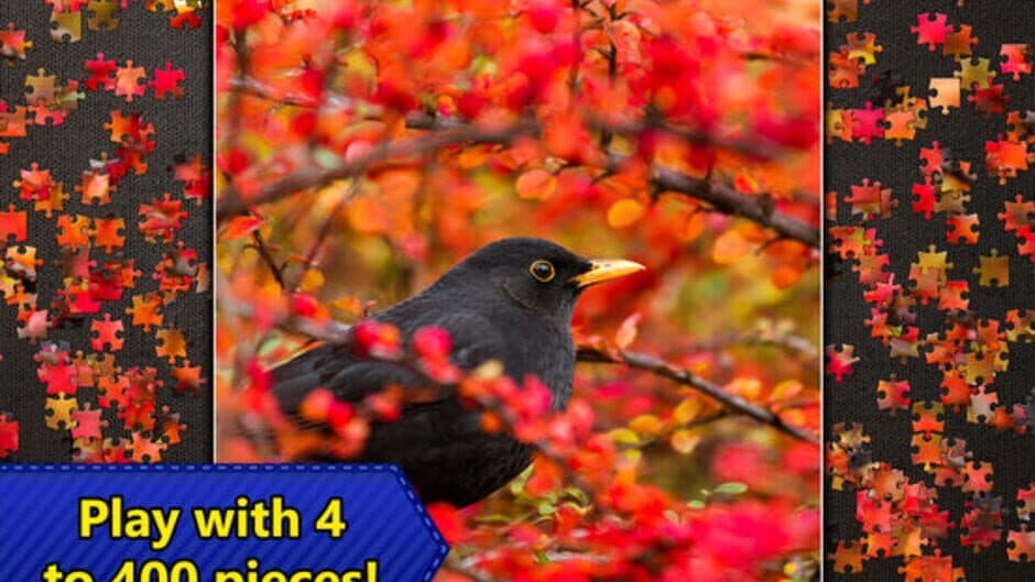 Jigsaw Puzzles Epic screenshot 2