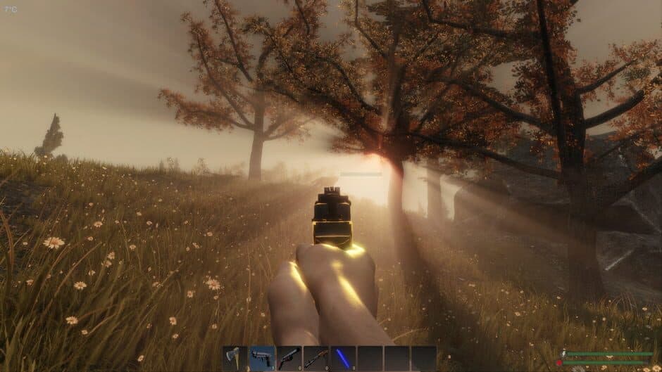 Subsistence screenshot 5