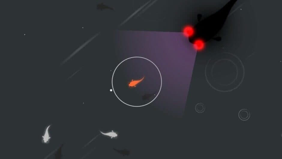 Koi DX screenshot 1