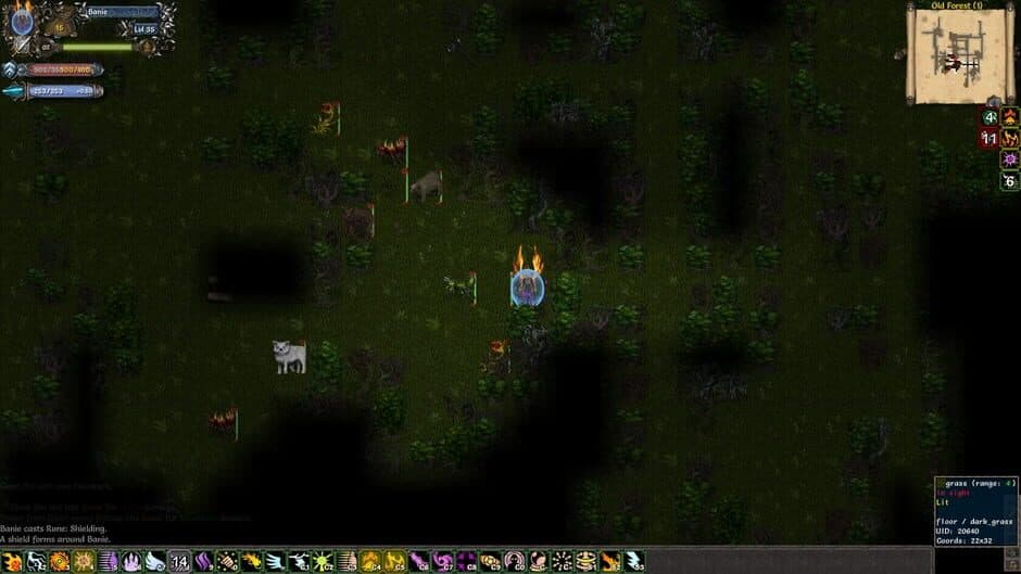 Tales of Maj'Eyal screenshot 4