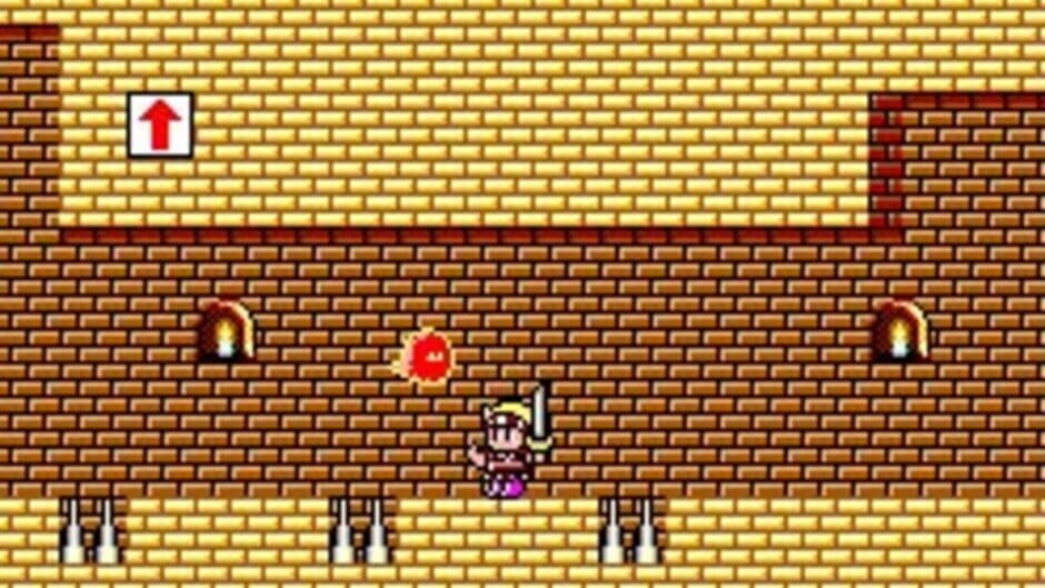 Wonder Boy: Monster Land screenshot 4