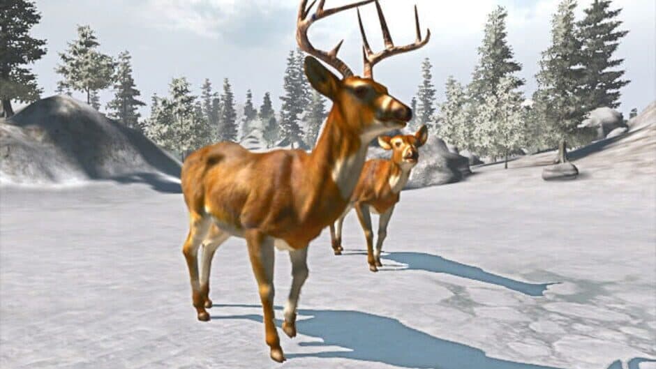 Cabela's Trophy Bucks screenshot 1