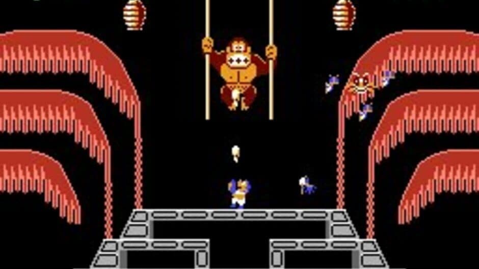 Donkey Kong 3 screenshot 4