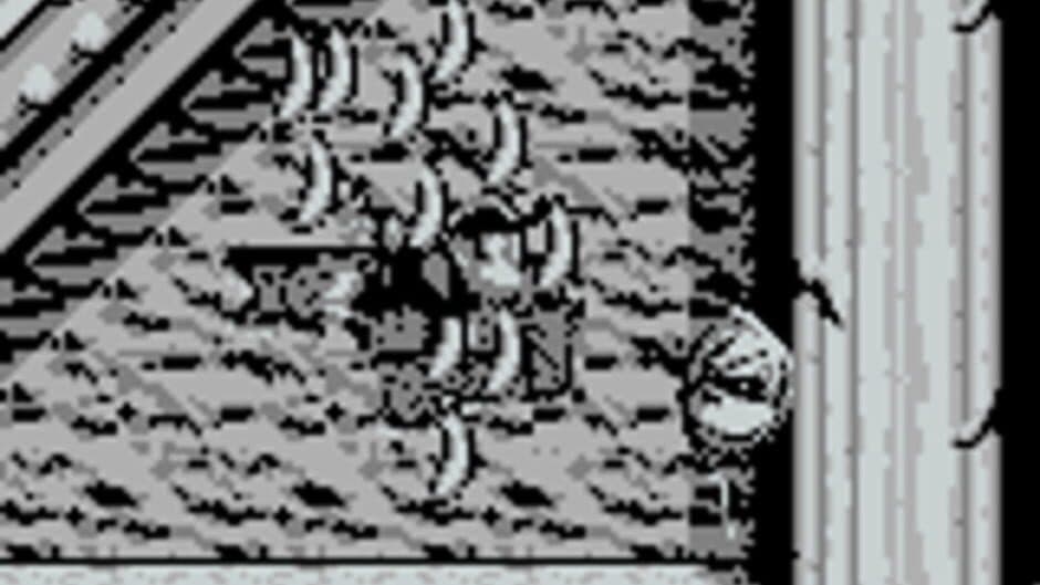 Donkey Kong Land screenshot 3