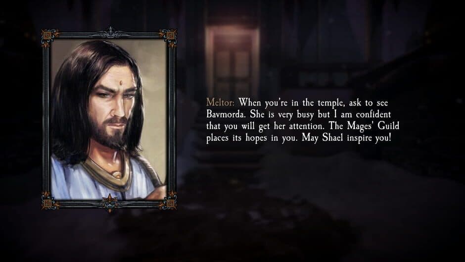 Dungeon Kingdom: Sign of the Moon screenshot 5