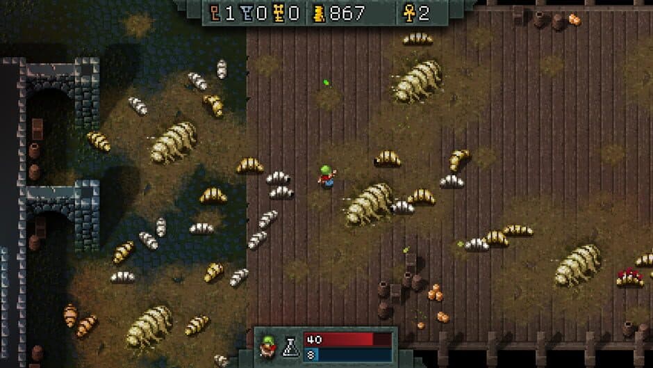 Hammerwatch screenshot 5