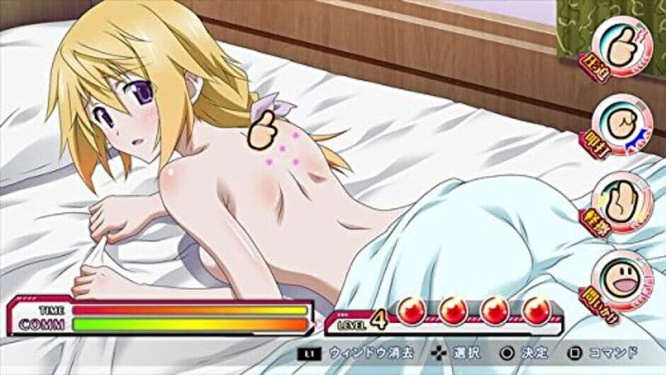 Infinite Stratos 2: Love and Purge screenshot 2