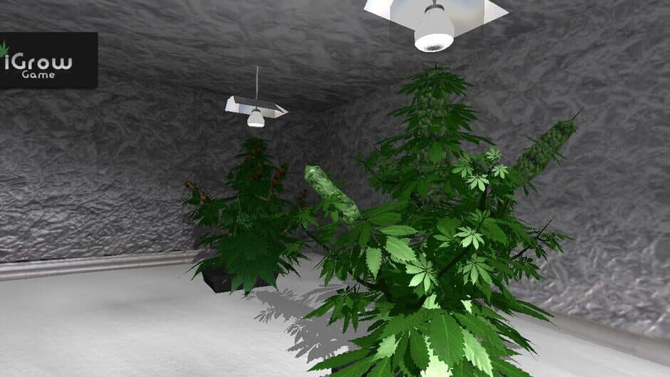 iGrow Game screenshot 5