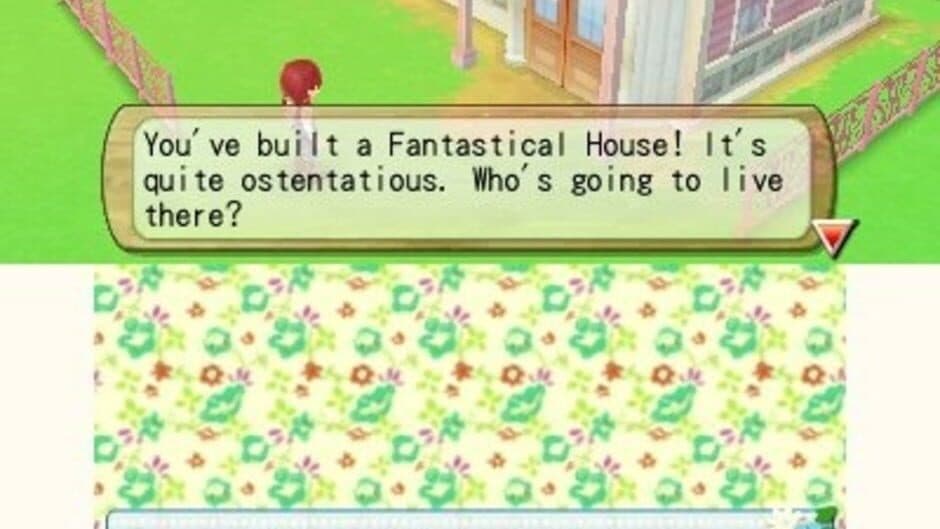 Harvest Moon: A New Beginning screenshot 6