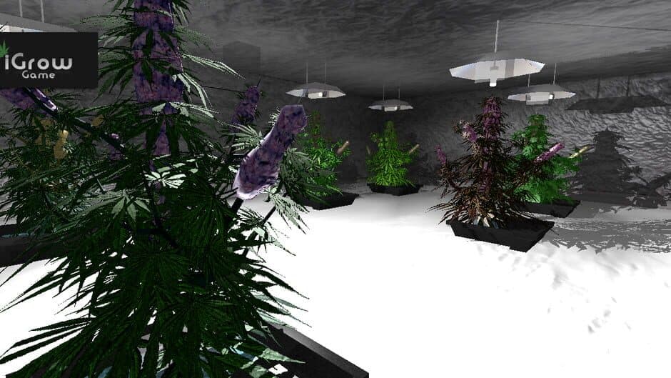 iGrow Game screenshot 1