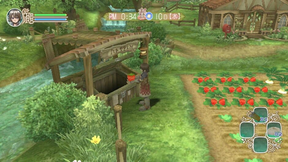 Rune Factory Frontier screenshot 4