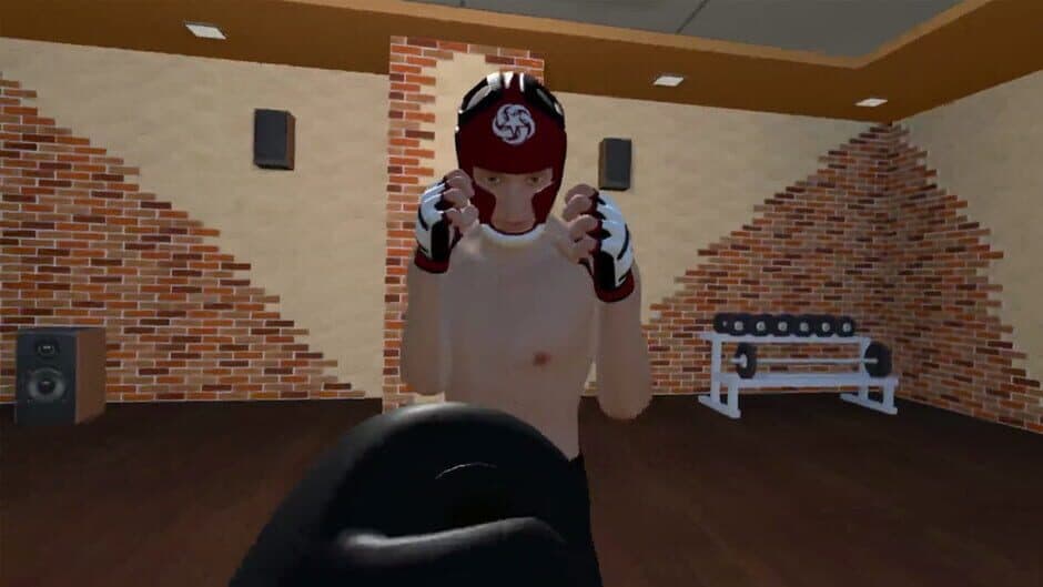 Fight Sparring VR screenshot 1