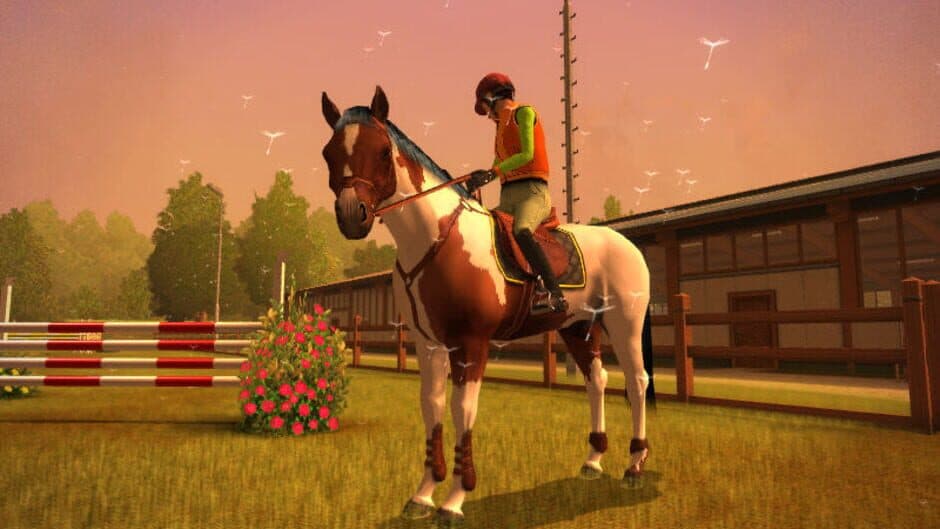 My Horse & Me screenshot 4
