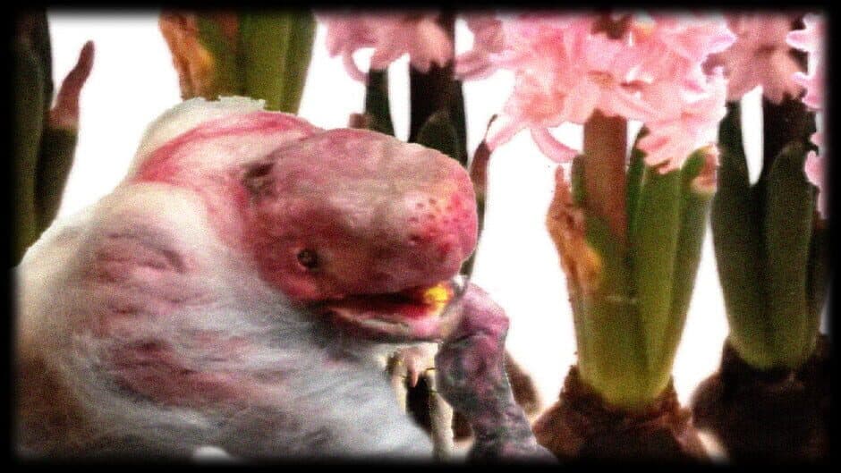 Dujanah screenshot 5