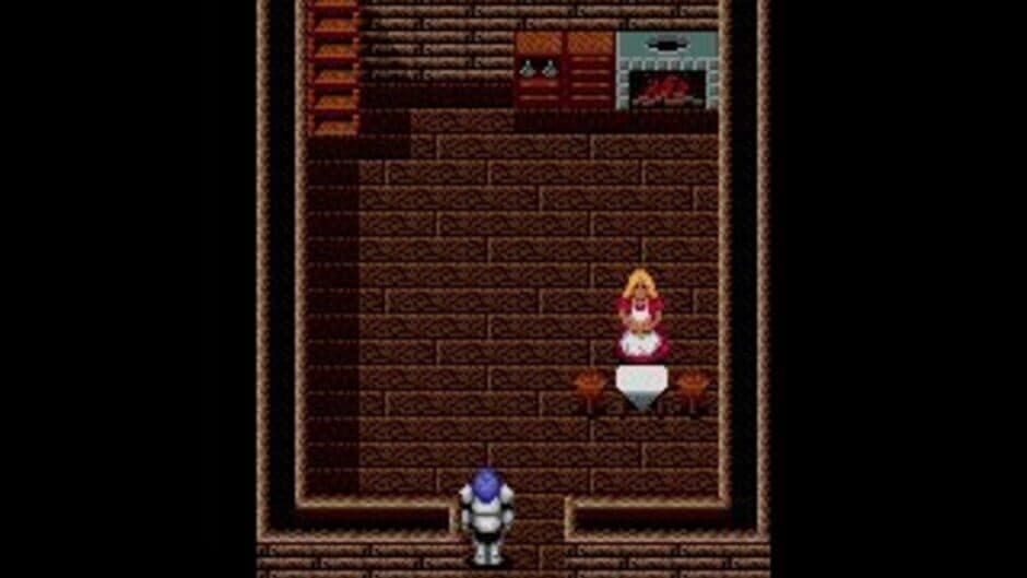 Sword of Vermilion screenshot 2