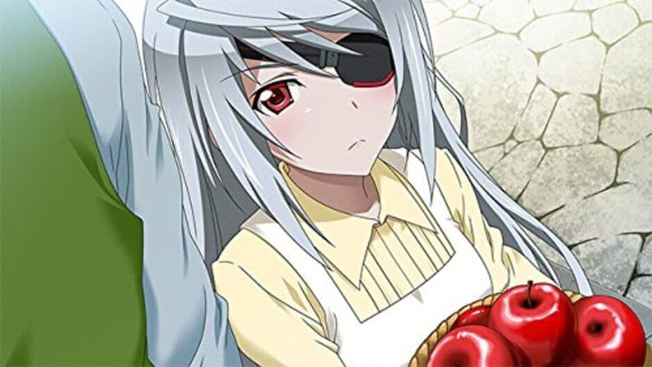 Infinite Stratos 2: Love and Purge screenshot 5