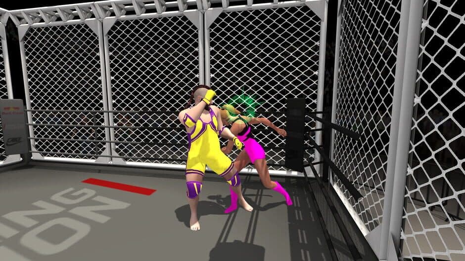Wrestlers Without Boundaries screenshot 3