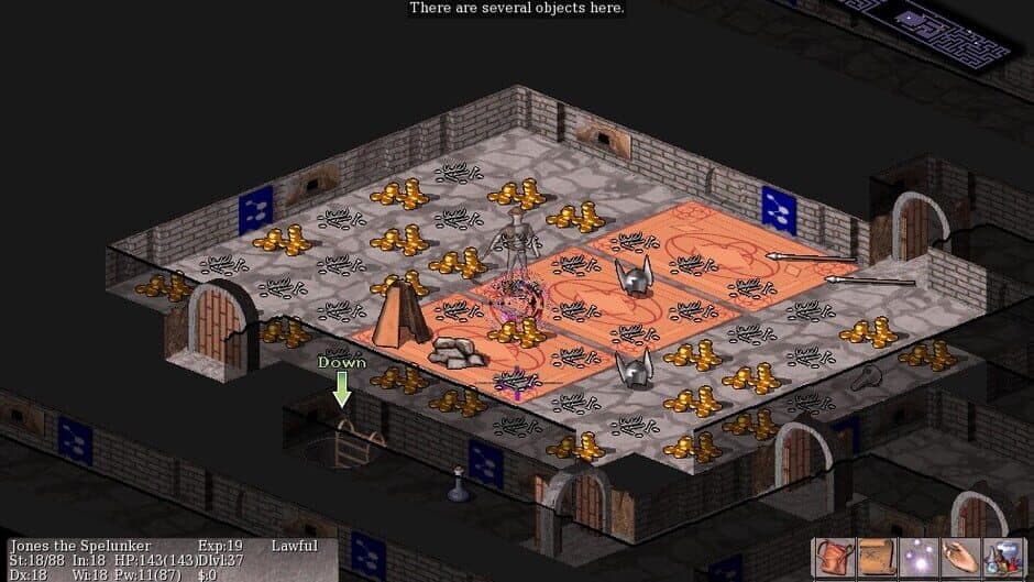 Vulture for NetHack screenshot 4