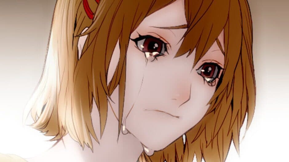 Enigma: An Illusion Named Family screenshot 3