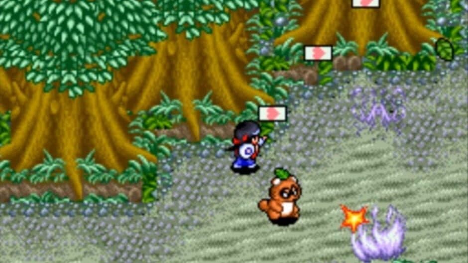 Pocky & Rocky 2 screenshot 5