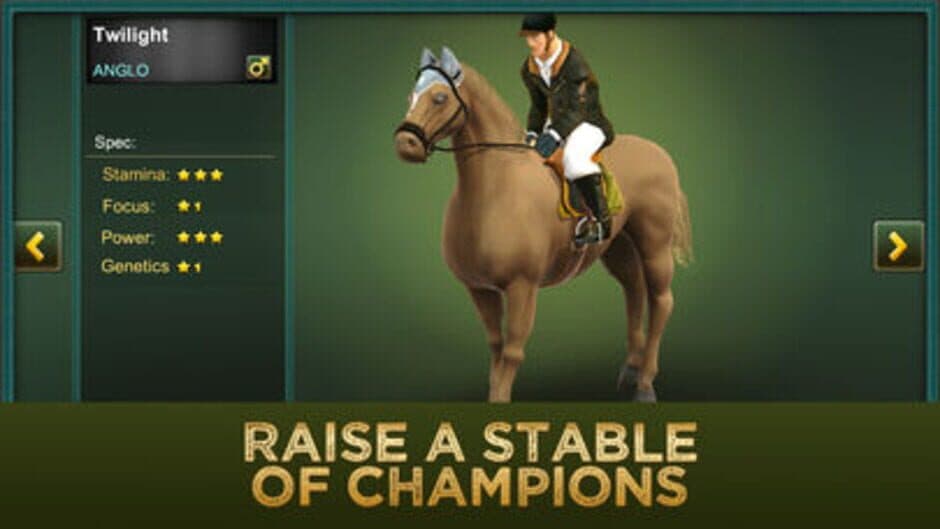 Jumping Horses Champions 2 screenshot 5