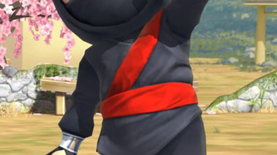 Clumsy Ninja screenshot 5