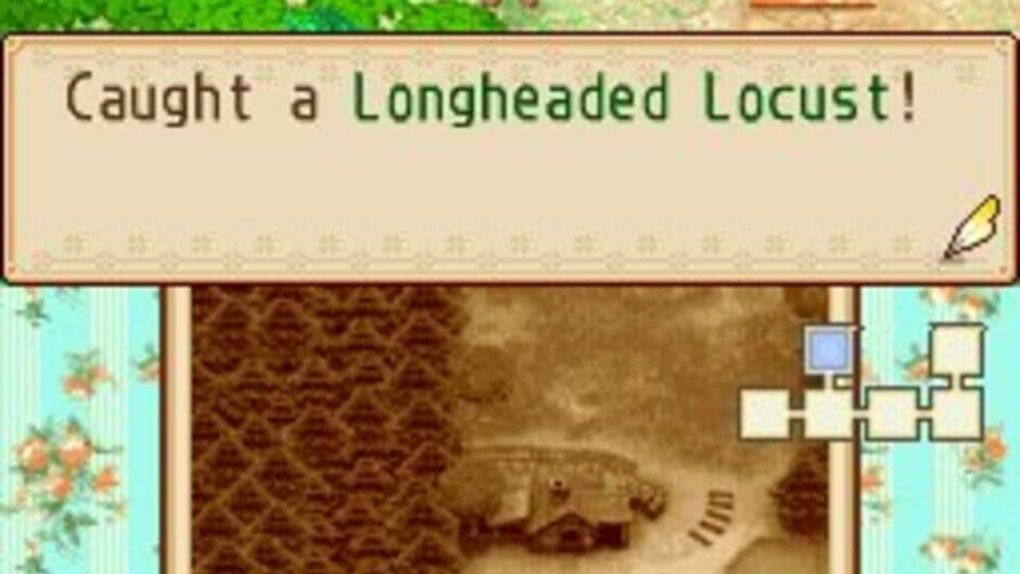 Harvest Moon DS: Grand Bazaar screenshot 3