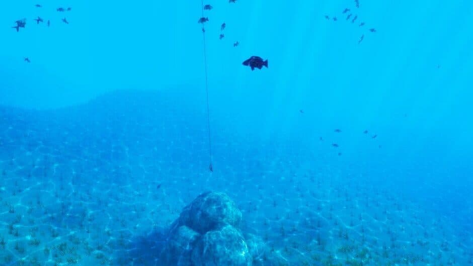 The Fishing Club 3D screenshot 2