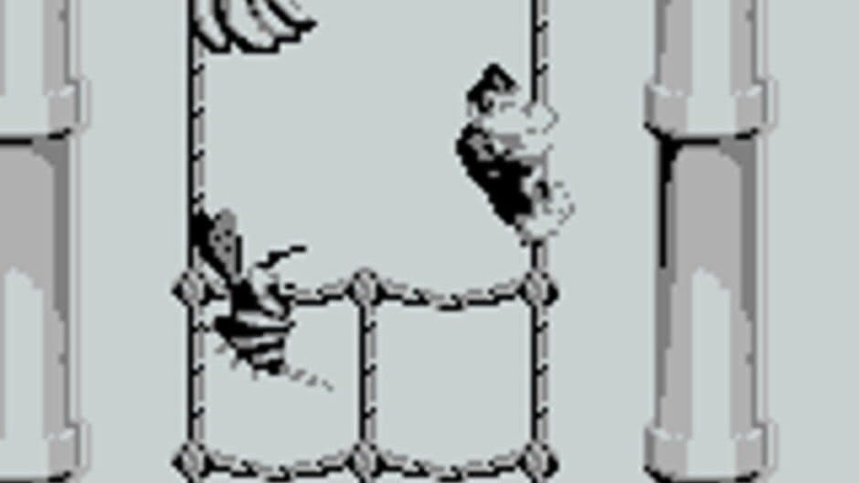 Donkey Kong Land screenshot 5