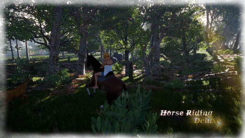 Horse Riding Deluxe screenshot 2