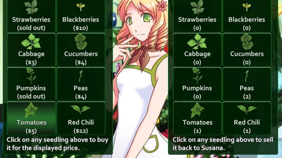 Flower Shop: Summer In Fairbrook screenshot 3