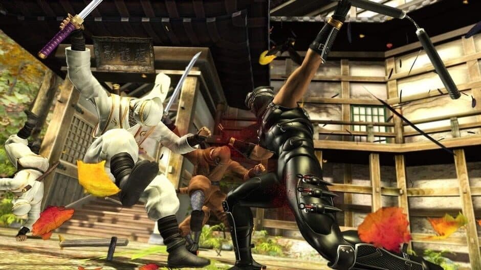 Ninja Gaiden Sigma screenshot 3