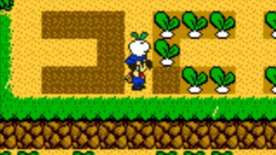 Harvest Moon 3 GBC screenshot 2