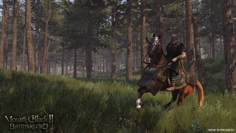 Mount & Blade II: Bannerlord screenshot 3