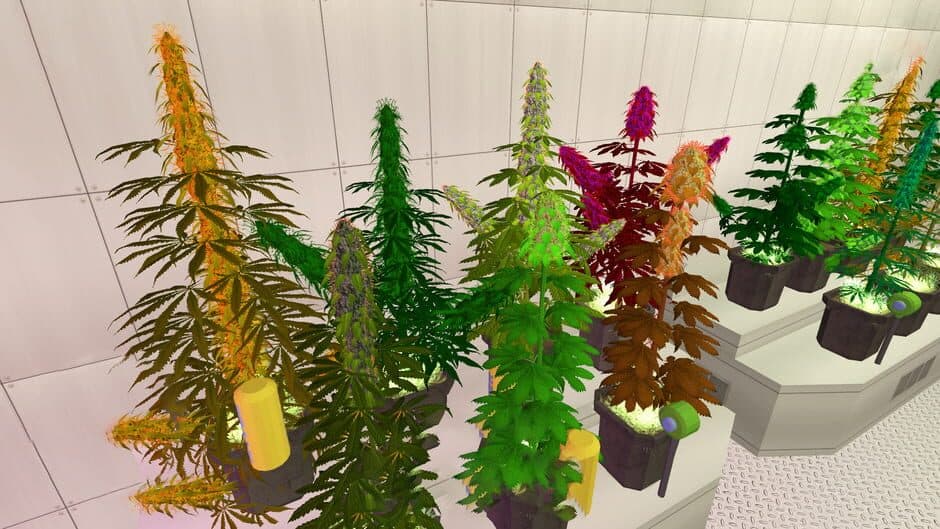 Weed Shop 2 screenshot 1