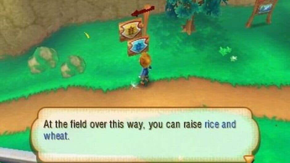 Story of Seasons screenshot 2