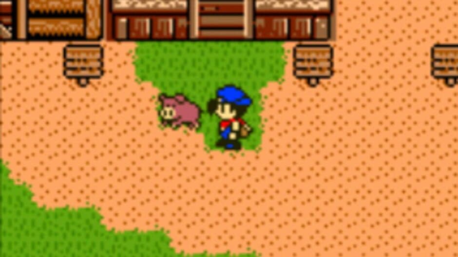 Harvest Moon 3 GBC screenshot 5