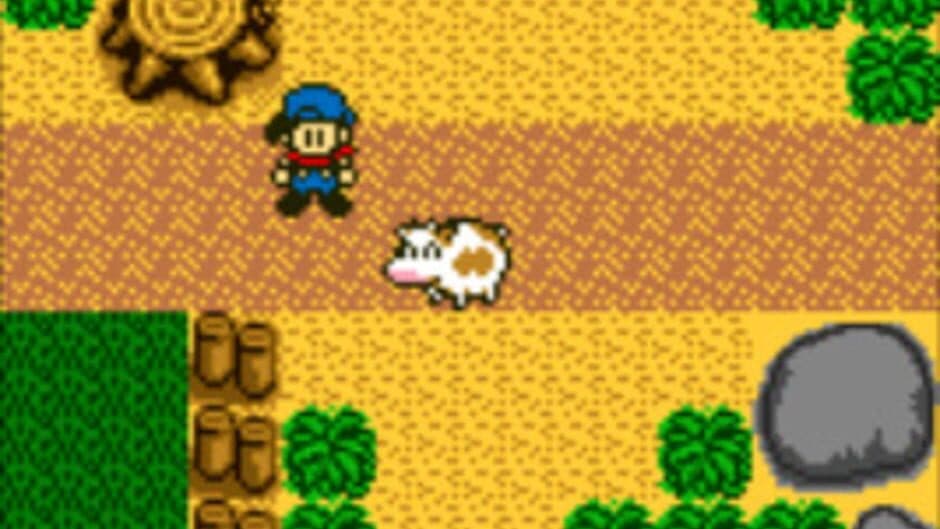 Harvest Moon GB screenshot 3