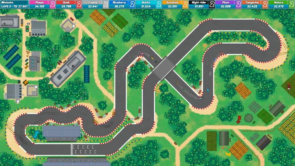 Race Online screenshot 5