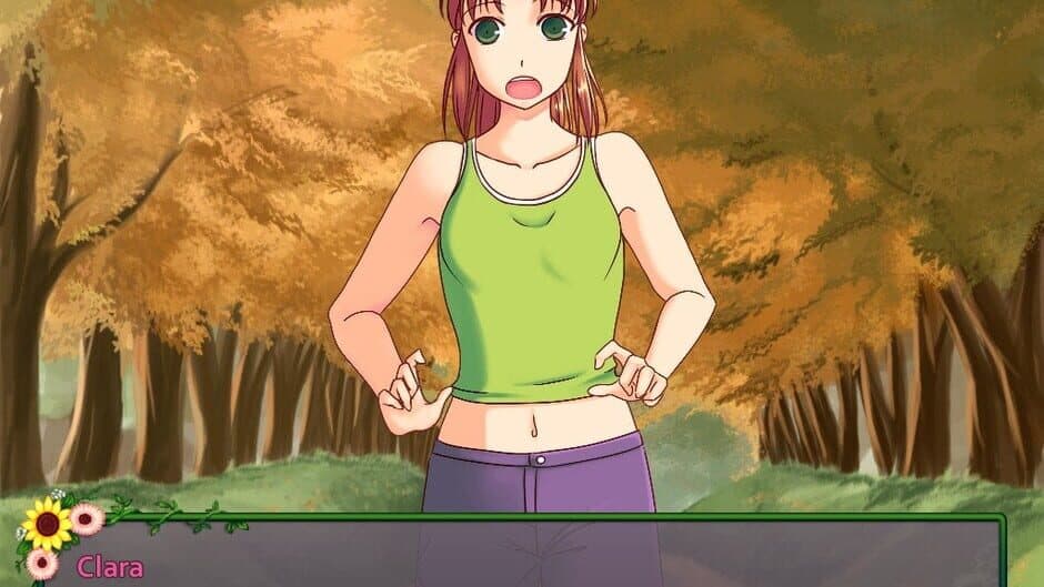 Flower Shop: Summer In Fairbrook screenshot 1