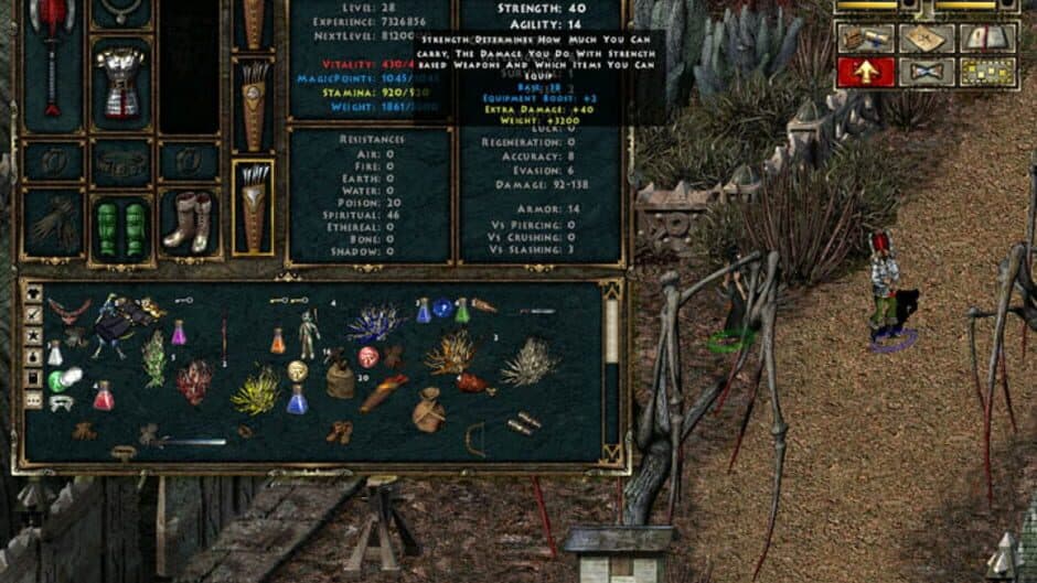 Beyond Divinity screenshot 5