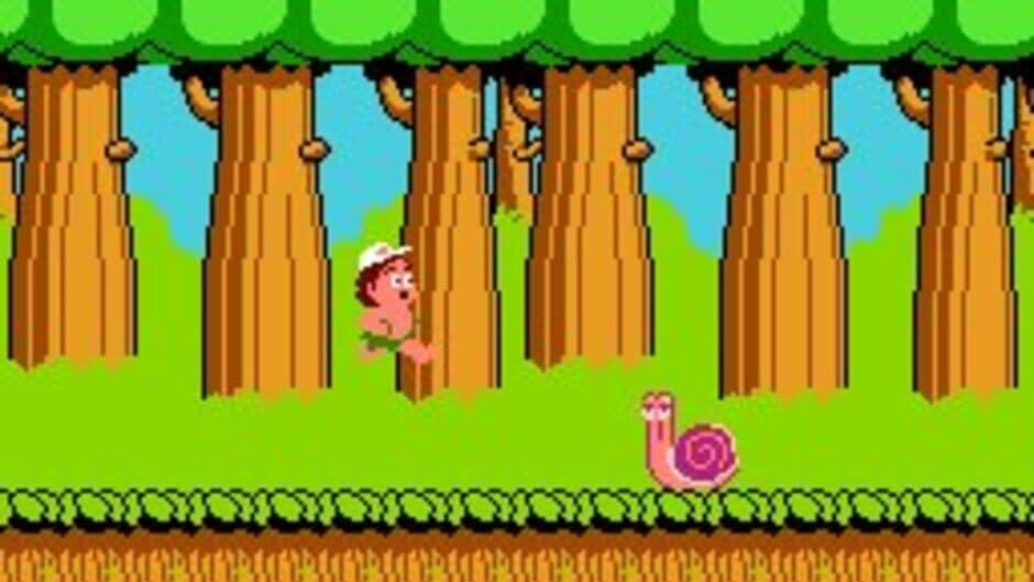 Hudson's Adventure Island screenshot 6