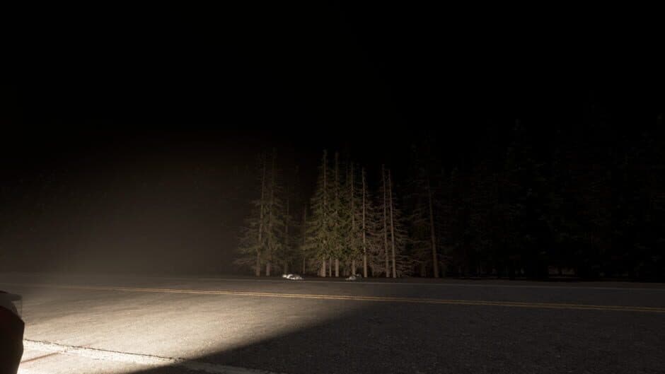 Highway 11 screenshot 4