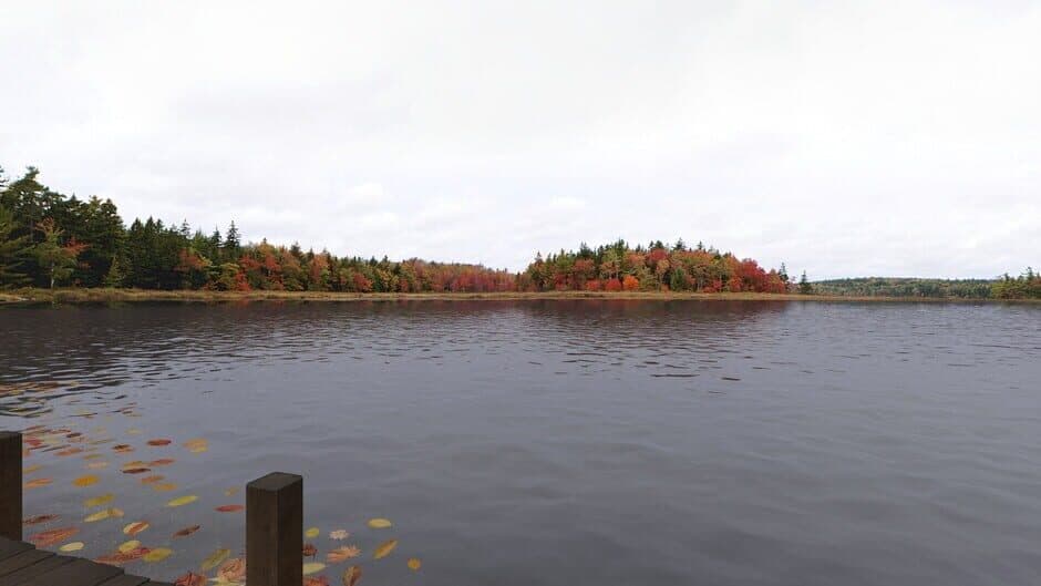 Real VR Fishing: Canada DLC screenshot 2