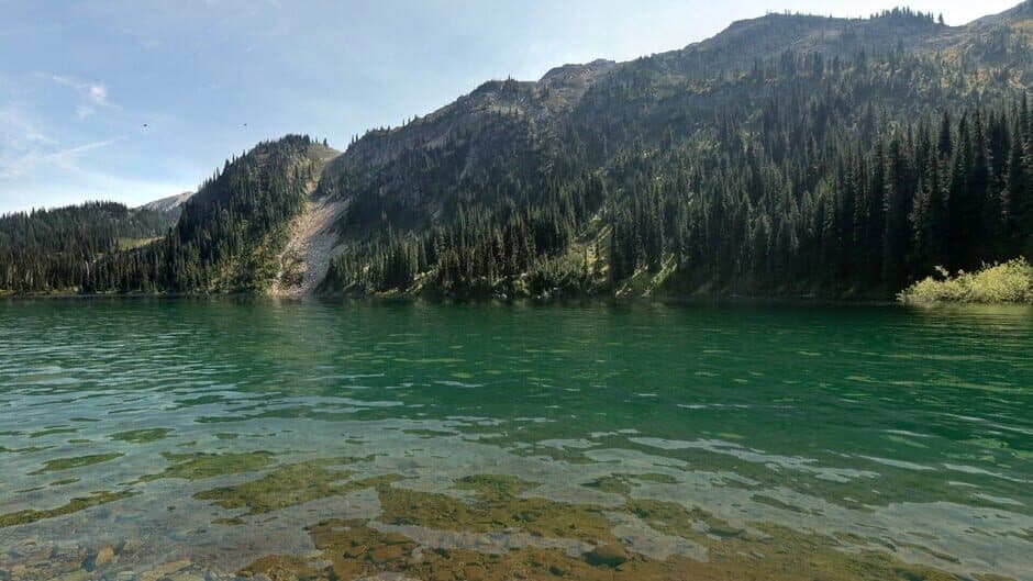 Real VR Fishing: Canada DLC screenshot 5