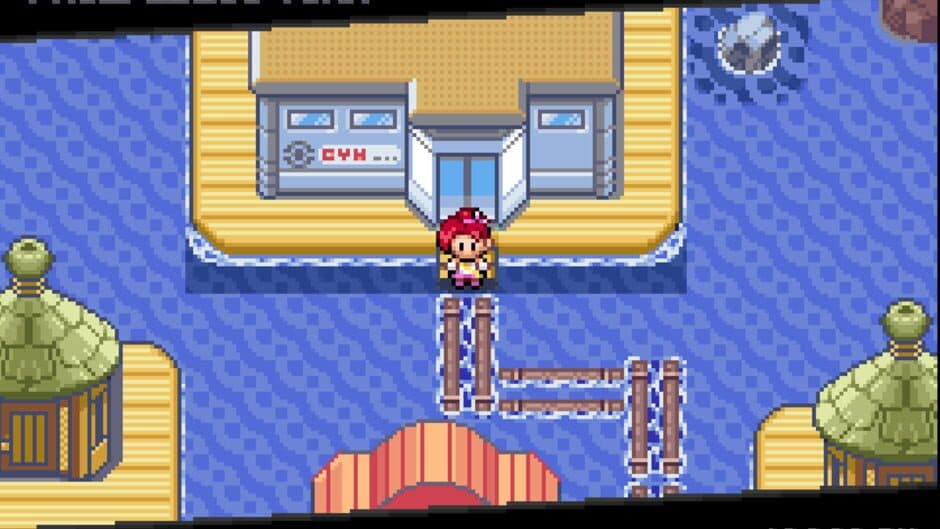 Pokemon: Too Many Types 2 screenshot 1