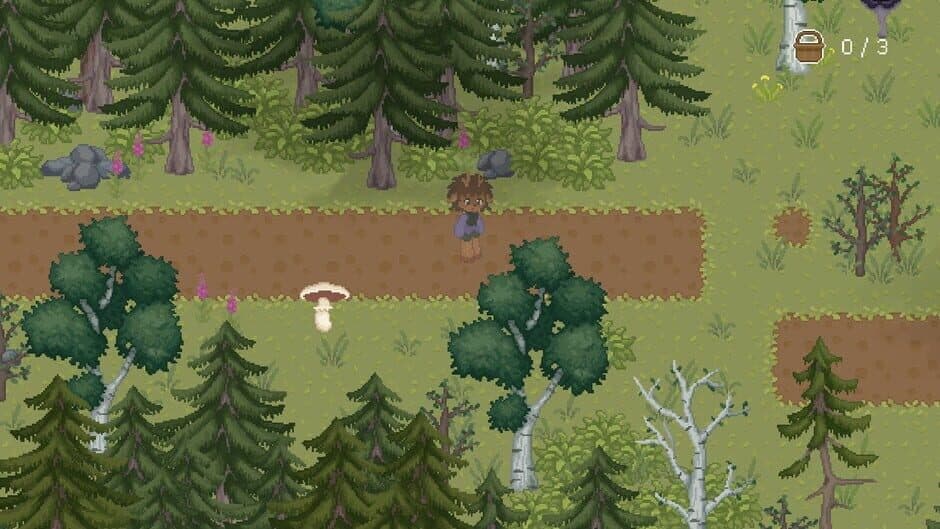 The Mushroom Journal screenshot 1